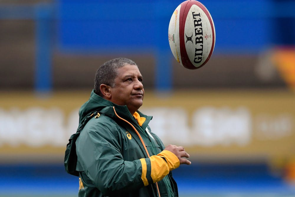 Allister Coetzee's coaching fate hangs in the balance. Photo: Getty Images