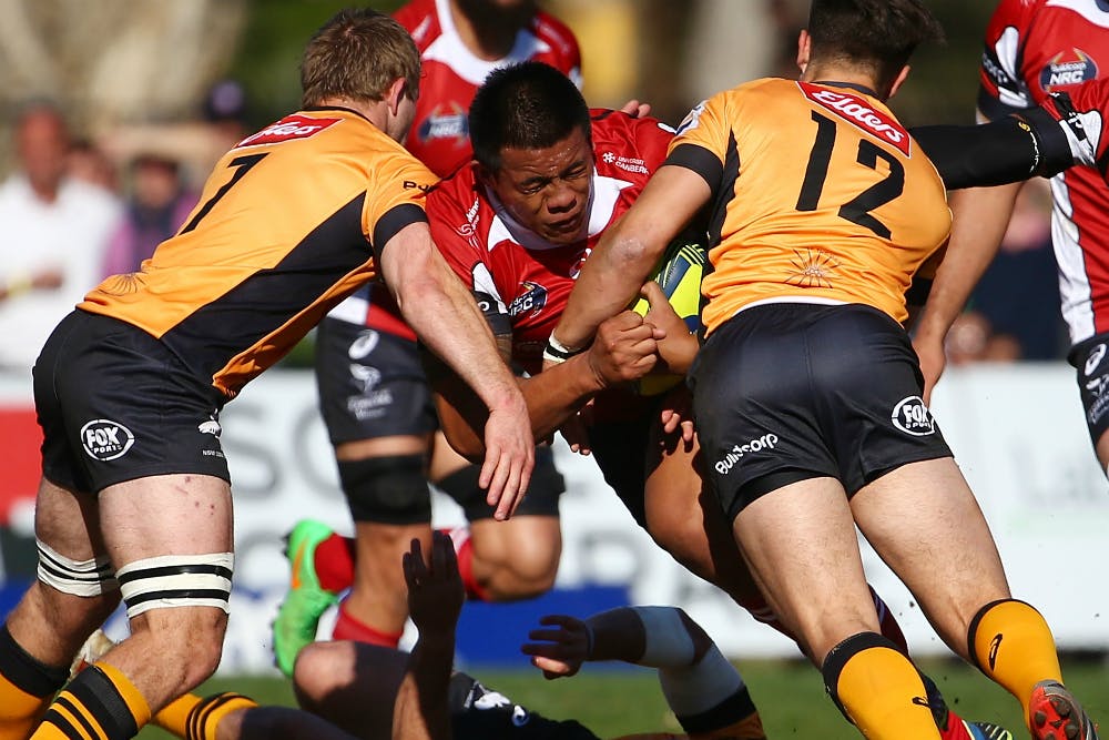 Allan Alaalatoa made his Wallabies debut in the first Bledisloe. Photo: Getty Images. 