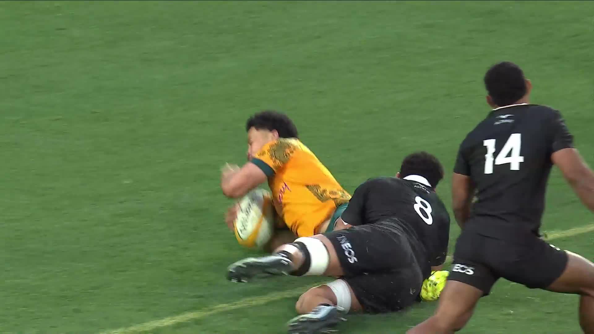 Hunter Paisami with a Spectacular Try vs New Zealand