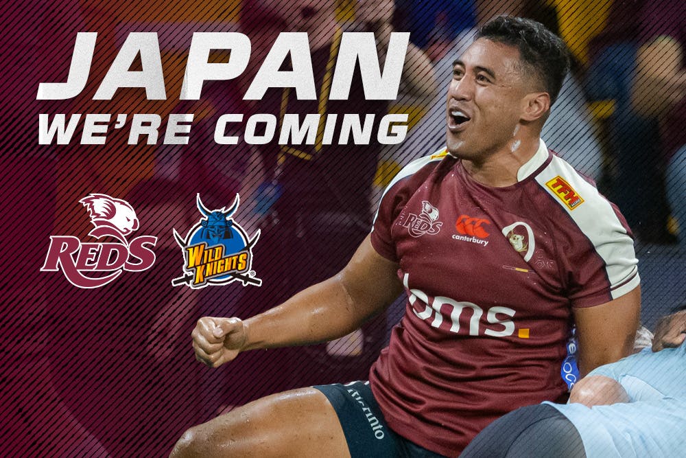 Queensland will face the Saitama Panasonic Wild Knights for the third year running in 2024 