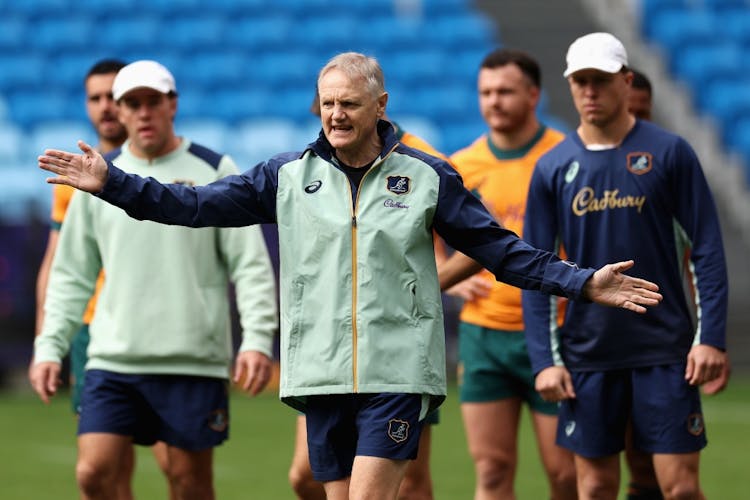 Joe Schmidt is the right man to turn the Wallabies around according to their biggest rivals. Photo: Getty Images