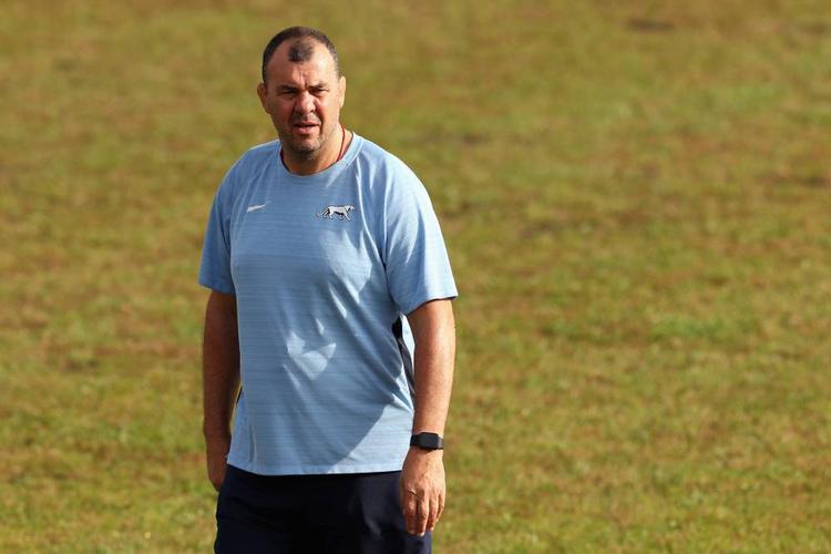 Michael Cheika has been given a two-week suspension as the new head coach of English Premiership side Leicester. Photo: Getty Images