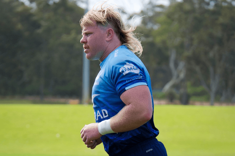 New Western Force addition Nic Dolly at training. Photo credit: Ashleigh Zinko