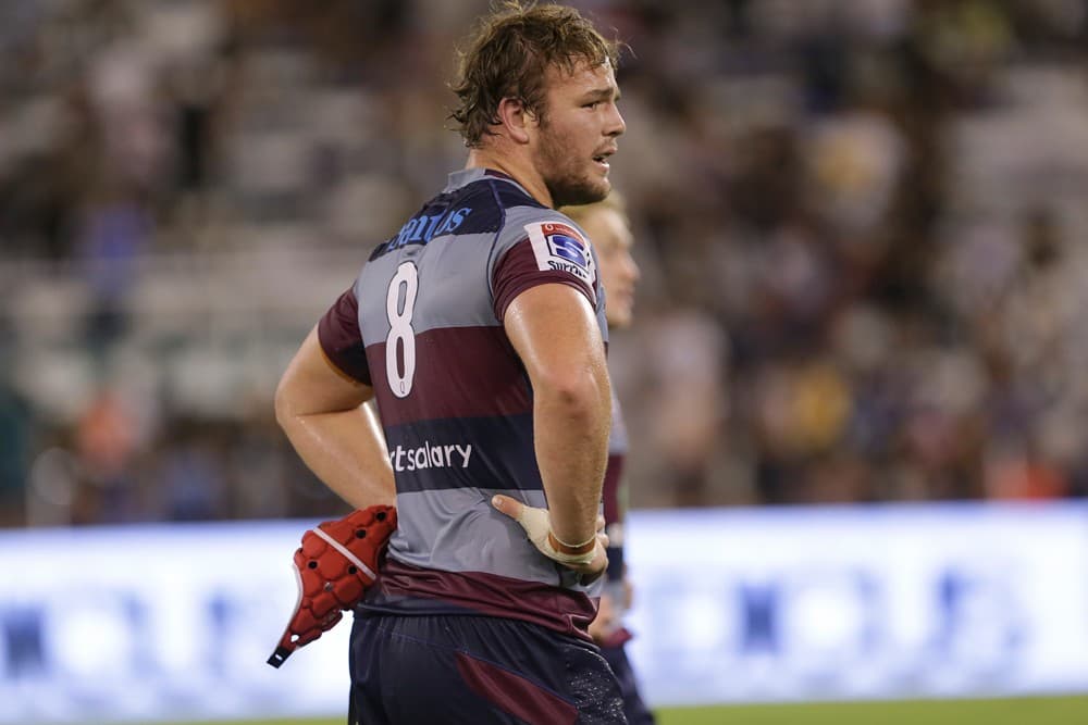 Harry Wilson has modelled his game on aggressive former Queensland captain Scott Higginbotham. Photo: Getty Images