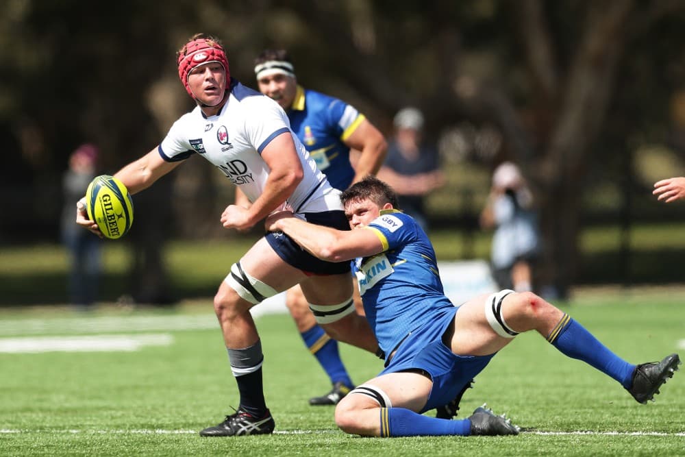 Queensland Country no.8 Harry Wilson has been named the NRC Rising Star for 2019. Photo: Getty Images 