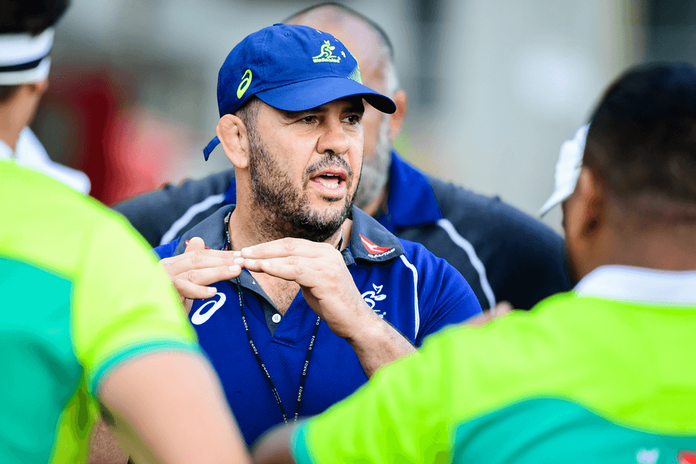 Michael Cheika has played down reports that he is in talks with Gloucester. Photo: RUGBY.com.au/Stuart Walmsley